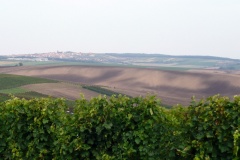 Jižní Morava Vrbice 9-2010