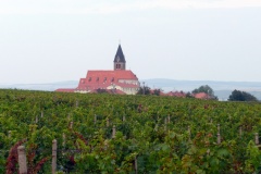 Jižní Morava Vrbice 9-2010