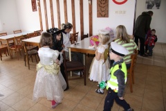 KARNEVAL únor 2014