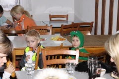 KARNEVAL únor 2014