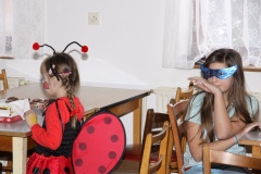KARNEVAL únor 2014