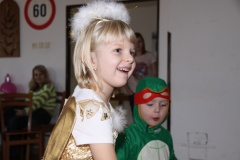 KARNEVAL únor 2014