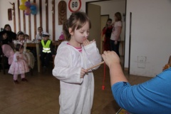 KARNEVAL únor 2014