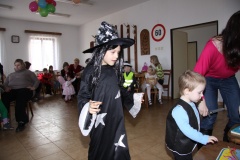 KARNEVAL únor 2014