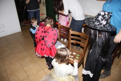 KARNEVAL únor 2014