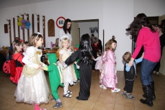 KARNEVAL únor 2014