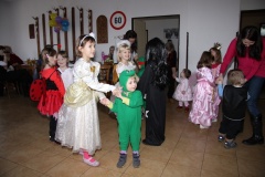 KARNEVAL únor 2014