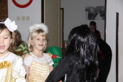 KARNEVAL únor 2014