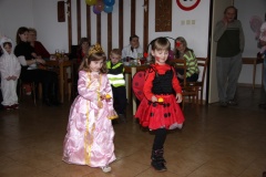 KARNEVAL únor 2014