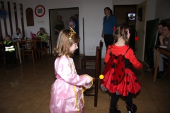 KARNEVAL únor 2014