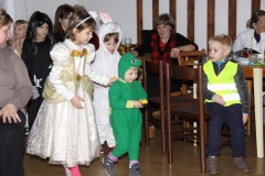KARNEVAL únor 2014