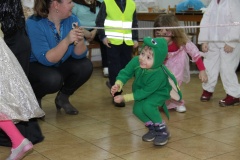 KARNEVAL únor 2014