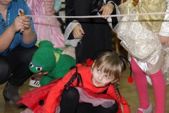 KARNEVAL únor 2014