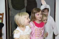 KARNEVAL únor 2014