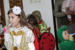 KARNEVAL únor 2014