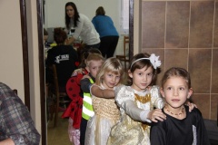 KARNEVAL únor 2014