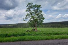 Klinovec_2021_046