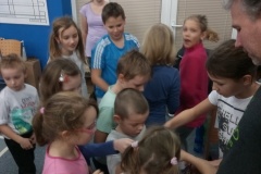 KUŽELKY 2017