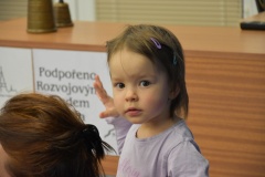 kuzelky_2021_0074