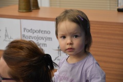 kuzelky_2021_0075