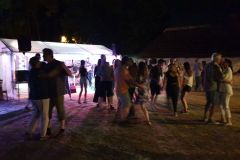 zabava_21_8_20_19