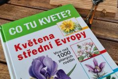 bobrik_kvetin_19_07_21_18
