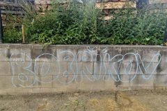 tabor21_013