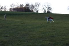 Martinska_2022_120