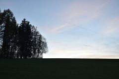 Martinska_2022_156
