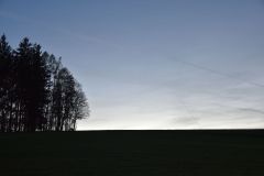 Martinska_2022_163