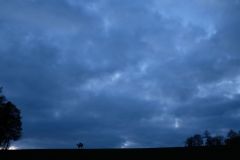 Martin_2023_037