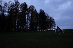 Martin_2023_040