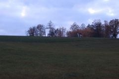 Martin_2023_199