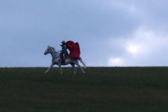 Martin_2023_202