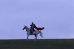 Martin_2023_203
