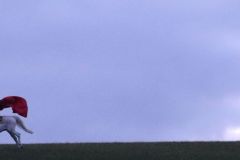 Martin_2023_204
