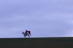 Martin_2023_205