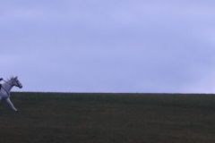 Martin_2023_206