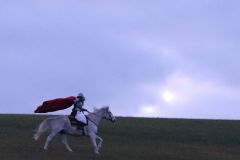 Martin_2023_207