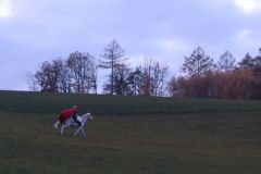Martin_2023_208