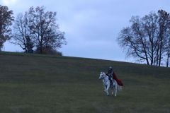 Martin_2023_209
