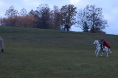 Martin_2023_210