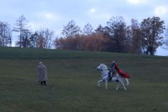 Martin_2023_211