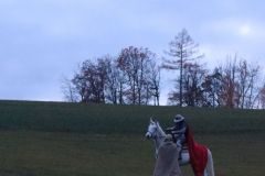 Martin_2023_214