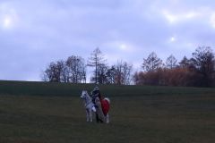 Martin_2023_217