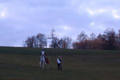 Martin_2023_218