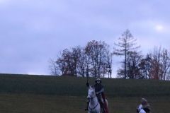 Martin_2023_219