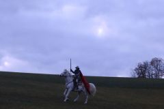 Martin_2023_220