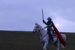 Martin_2023_222