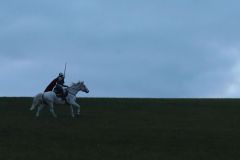 Martin_2023_223